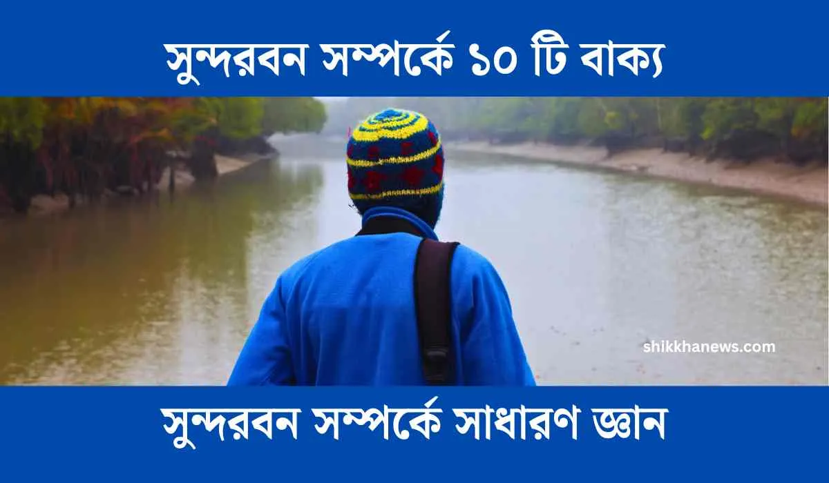 সুন্দরবন সম্পর্কে ১০ টি বাক্য, সুন্দরবন সম্পর্কে সাধারণ জ্ঞান, সুন্দরবন সম্পর্কে কিছু তথ্য, সুন্দরবন সম্পর্কে প্রশ্ন, সুন্দরবন সম্পর্কে তথ্য, সুন্দরবন সম্পর্কে ১০ টি বাক্য ২য় শ্রেণি,