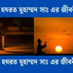 মহানবী হযরত মুহাম্মদ সাঃ এর জীবনী রচনা - সহায়ক।