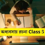 অধ্যবসায় রচনা Class 5 - সহায়ক।