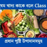 সুষম খাদ্য কাকে বলে Class 8, সুষম খাদ্য কাকে বলে, সুষম খাদ্য কি, সুষম খাদ্য, সুষম খাদ্য কী কী, সুষম খাদ্যের উপাদান কয়টি ও কী কী, সুষম খাদ্য কি কি, সুষম খাদ্য কাকে বলে class 7,shikkhanews.