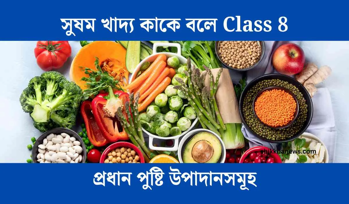 সুষম খাদ্য কাকে বলে Class 8, সুষম খাদ্য কাকে বলে, সুষম খাদ্য কি, সুষম খাদ্য, সুষম খাদ্য কী কী, সুষম খাদ্যের উপাদান কয়টি ও কী কী, সুষম খাদ্য কি কি, সুষম খাদ্য কাকে বলে class 7,shikkhanews.