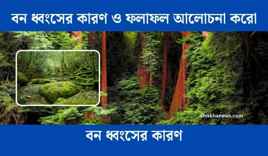 বন ধ্বংসের কারণ ও ফলাফল, জীবন ধ্বংস, বন ধ্বংসের কারণ ও ফলাফল class 9, বন ধ্বংসের দুটি কারণ ও তিনটি ফলাফল লেখো, বন ধ্বংসের কারণ, বন ধ্বংসের দুটি কারণ, বন ধ্বংসের কারণ কী, বন ধ্বংসের ফলাফল, বন ধ্বংসের কারণ ও ফলাফল class 8, বন ধ্বংস কাকে বলে, বন ধ্বংসের কারণ ও ফলাফল আলোচনা করো, বন ধ্বংসের ফলে, বন নিধন, উজাড়, বনভূমি ধ্বংস বাংলাদেশ।