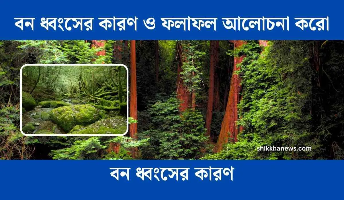 বন ধ্বংসের কারণ ও ফলাফল, জীবন ধ্বংস, বন ধ্বংসের কারণ ও ফলাফল class 9, বন ধ্বংসের দুটি কারণ ও তিনটি ফলাফল লেখো, বন ধ্বংসের কারণ, বন ধ্বংসের দুটি কারণ, বন ধ্বংসের কারণ কী, বন ধ্বংসের ফলাফল, বন ধ্বংসের কারণ ও ফলাফল class 8, বন ধ্বংস কাকে বলে, বন ধ্বংসের কারণ ও ফলাফল আলোচনা করো, বন ধ্বংসের ফলে, বন নিধন, উজাড়, বনভূমি ধ্বংস বাংলাদেশ।