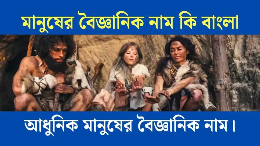 মানুষের বৈজ্ঞানিক নাম কি বাংলা - আধুনিক মানুষের বৈজ্ঞানিক নাম।