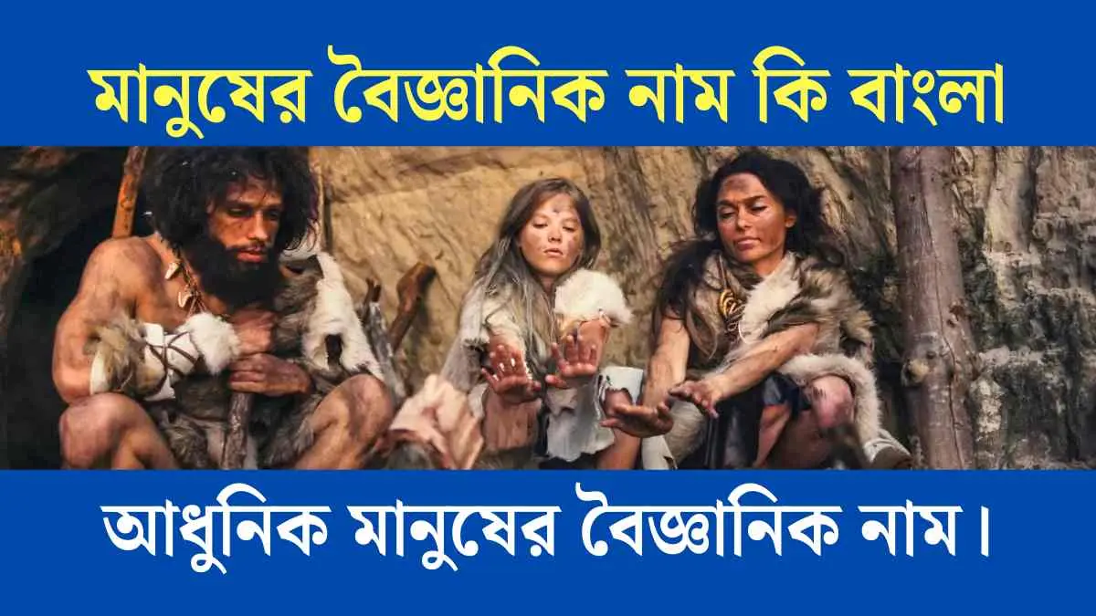 মানুষের বৈজ্ঞানিক নাম কি বাংলা - আধুনিক মানুষের বৈজ্ঞানিক নাম।